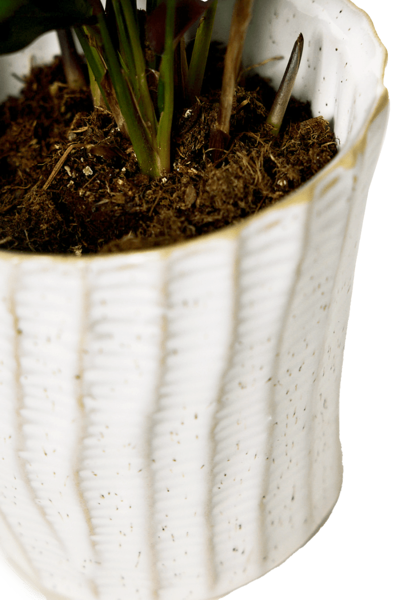 Katakana Ceramic Pot Planter - Chive Ceramics Studio - Pots - Chive Ceramics Studio