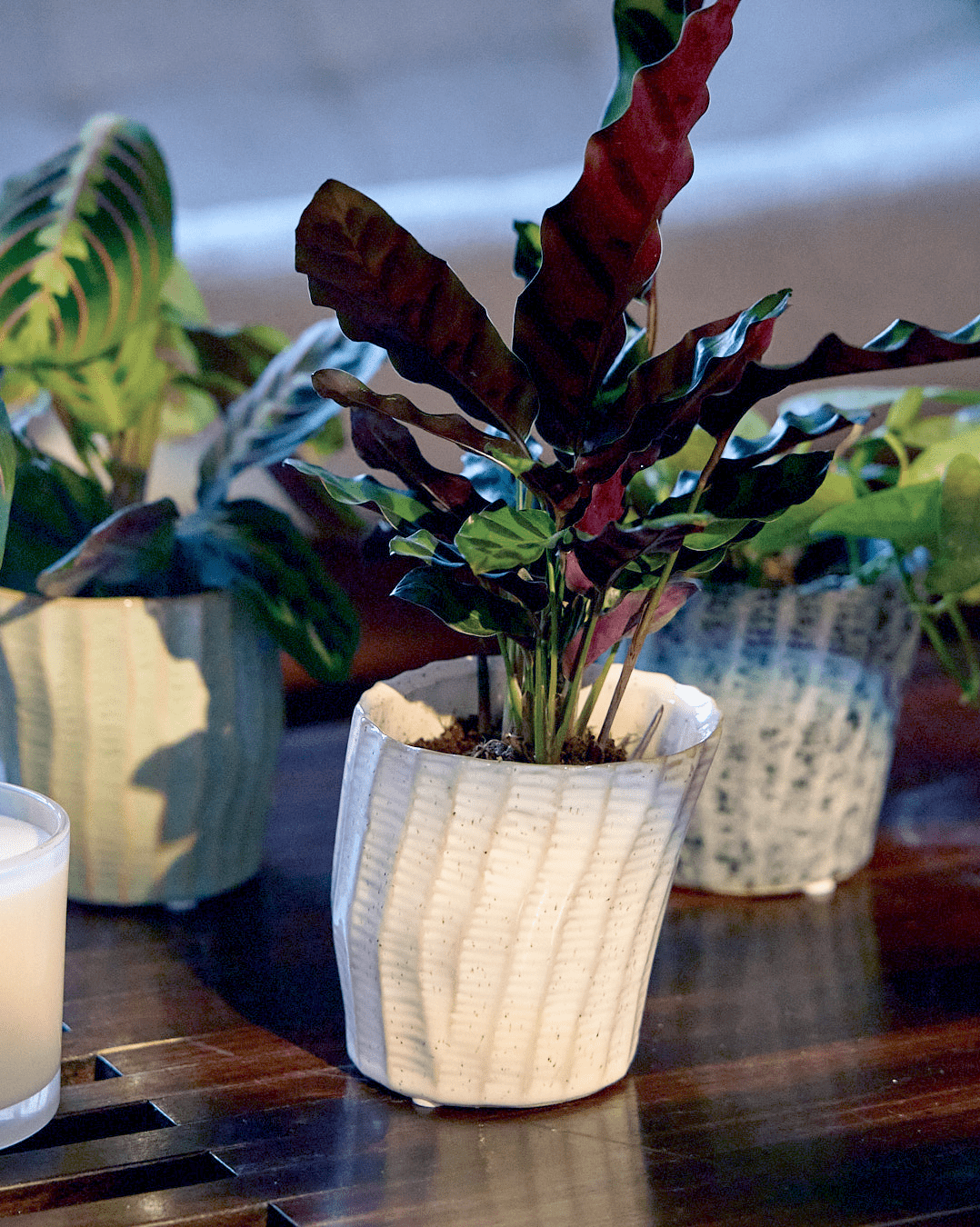 Katakana Ceramic Pot Planter - Chive Ceramics Studio - Pots - Chive Ceramics Studio