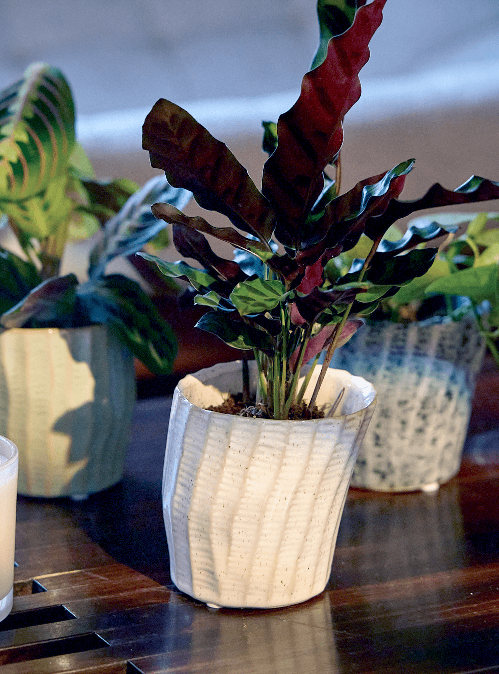 Katakana Ceramic Pot Planter - Chive Ceramics Studio - Pots - Chive Ceramics Studio