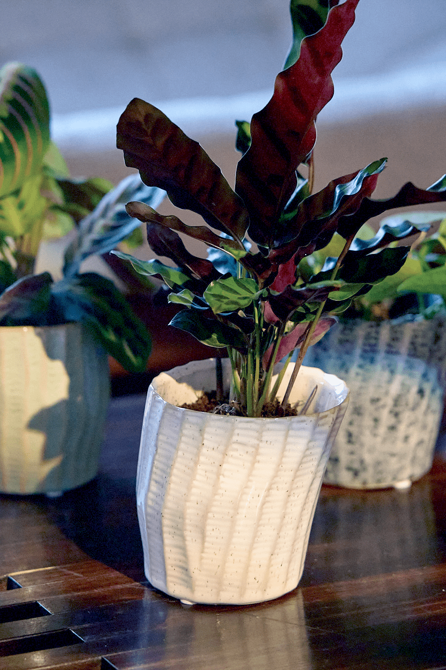 Katakana Ceramic Pot Planter - Chive Ceramics Studio - Pots - Chive Ceramics Studio