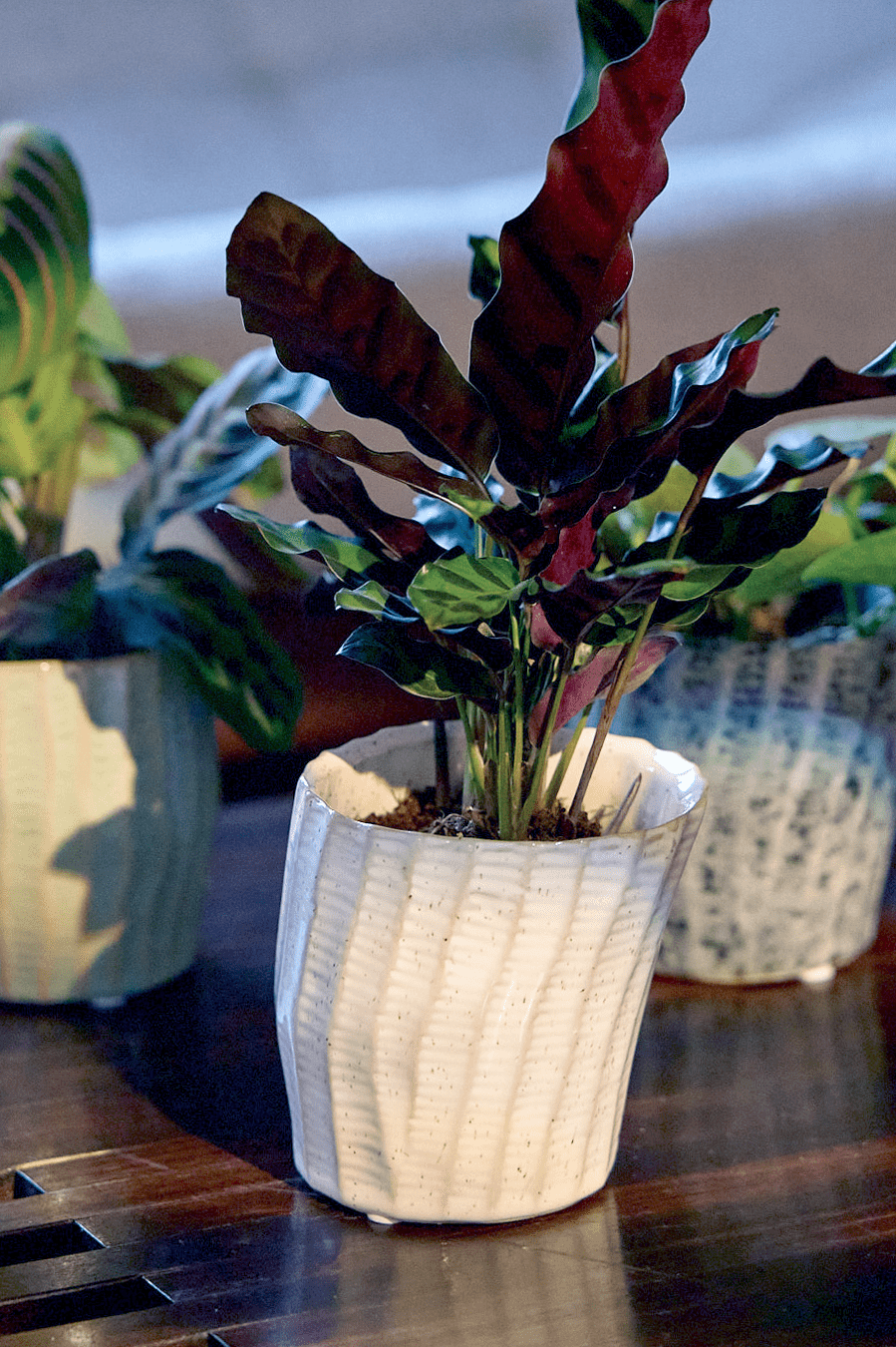 Katakana Ceramic Pot Planter - Chive Ceramics Studio - Pots - Chive Ceramics Studio