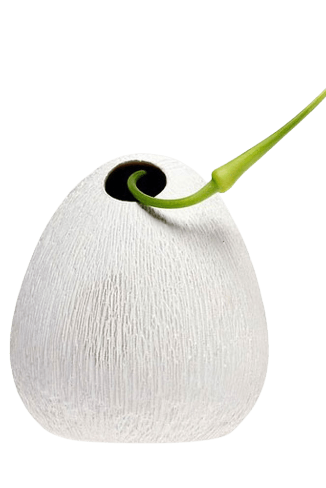 Koski Ceramic Flower Vase - Chive Ceramics Studio - Vases - Chive US