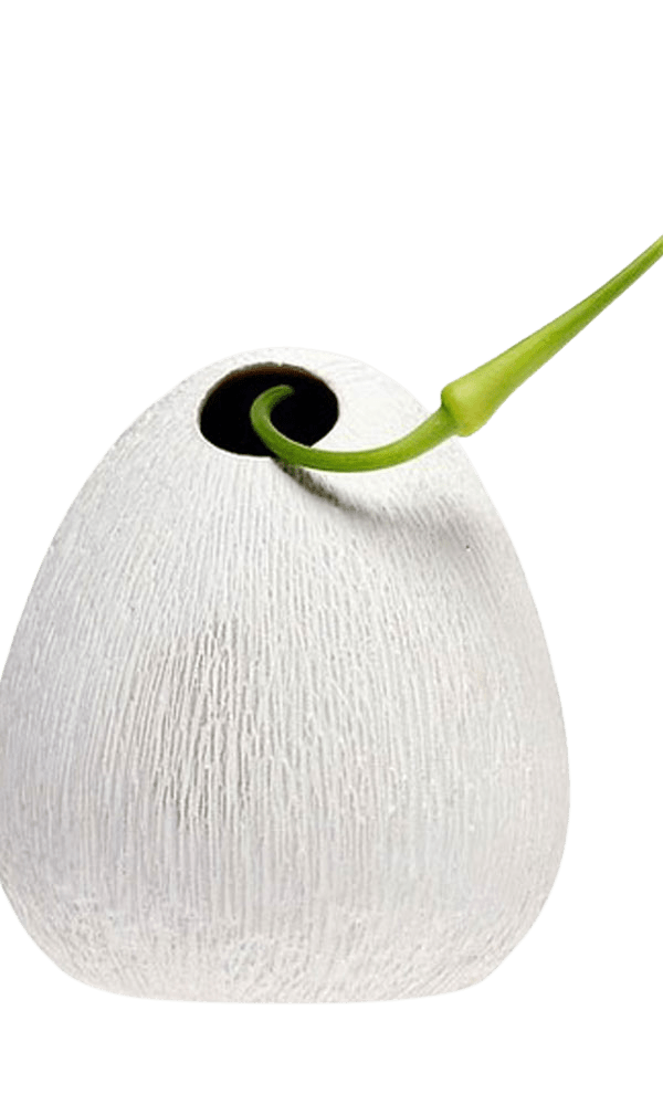 Koski Ceramic Flower Vase - Chive Ceramics Studio - Vases - Chive US