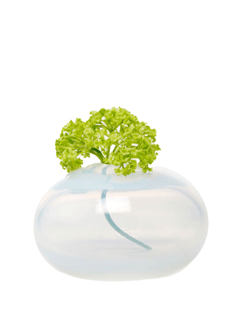 Ligne Glass Modern Flower Vase - Chive Ceramics Studio - Vases - Chive Ceramics Studio