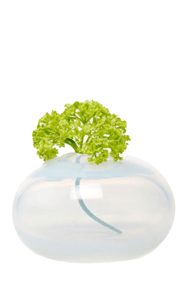 Ligne Glass Modern Flower Vase - Chive Ceramics Studio - Vases - Chive Ceramics Studio