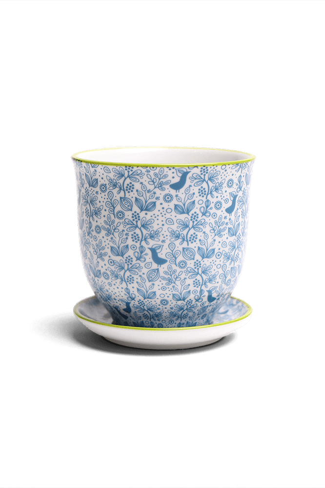 Liberte Porcelain Pot And Saucer Set With Drainage - Chive Ceramics Studio - Pots - Chive Ceramics Studio