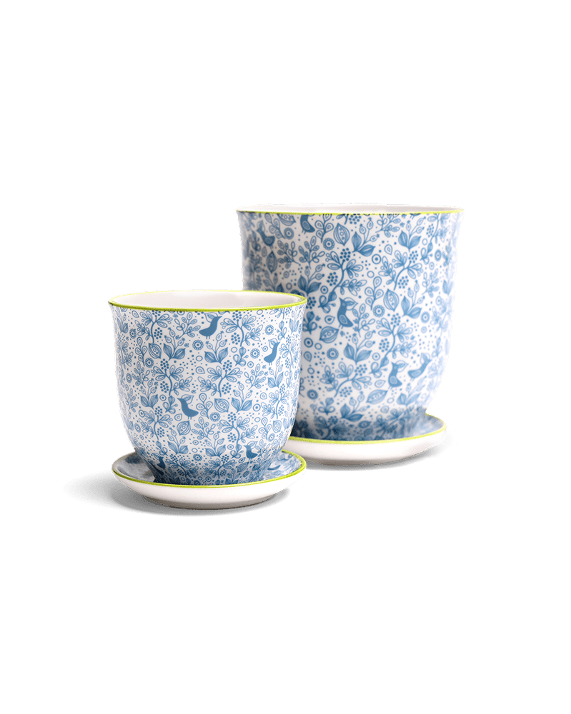 Liberte Porcelain Pot And Saucer Set With Drainage - Chive Ceramics Studio - Pots - Chive Ceramics Studio