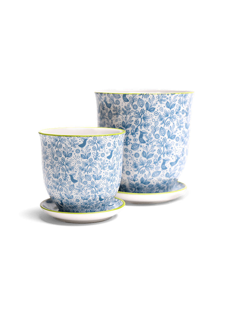 Liberte Porcelain Pot And Saucer Set With Drainage - Chive Ceramics Studio - Pots - Chive Ceramics Studio
