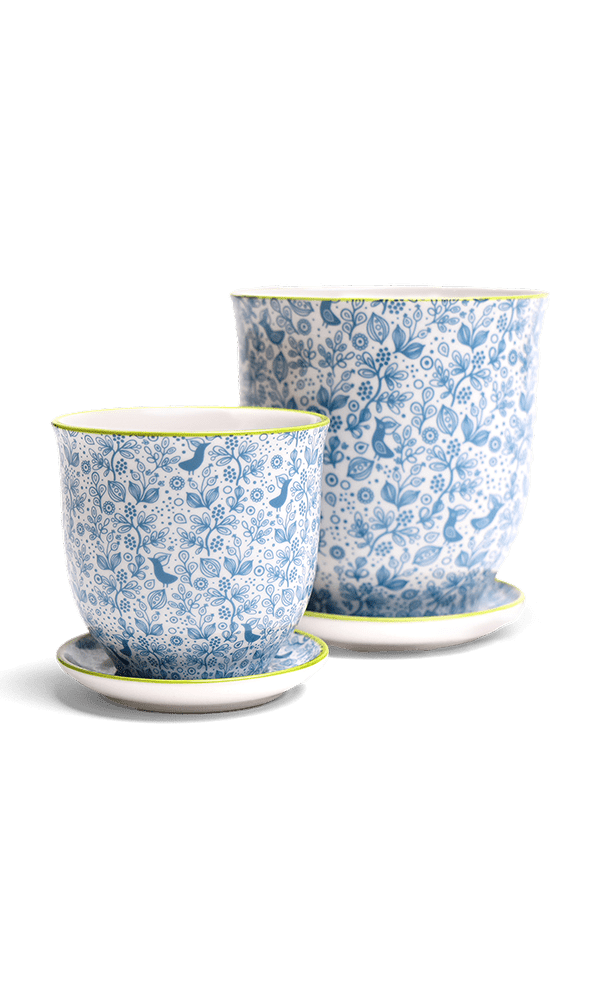 Liberte Porcelain Pot And Saucer Set With Drainage - Chive Ceramics Studio - Pots - Chive Ceramics Studio