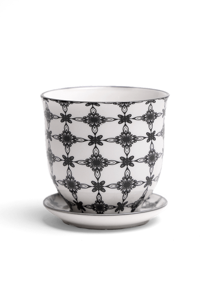 Liberte Porcelain Pot And Saucer Set With Drainage - Chive Ceramics Studio - Pots - Chive Ceramics Studio