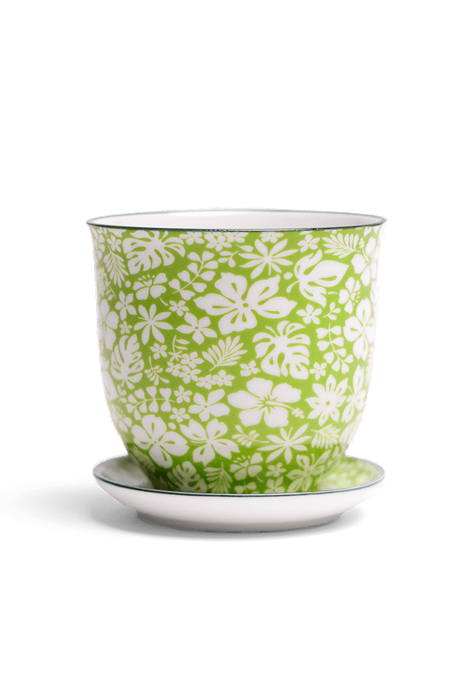 Liberte Porcelain Pot And Saucer Set With Drainage - Chive Ceramics Studio - Pots - Chive Ceramics Studio