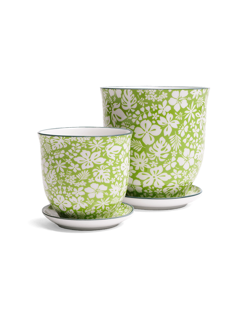 Liberte Porcelain Pot And Saucer Set With Drainage - Chive Ceramics Studio - Pots - Chive Ceramics Studio
