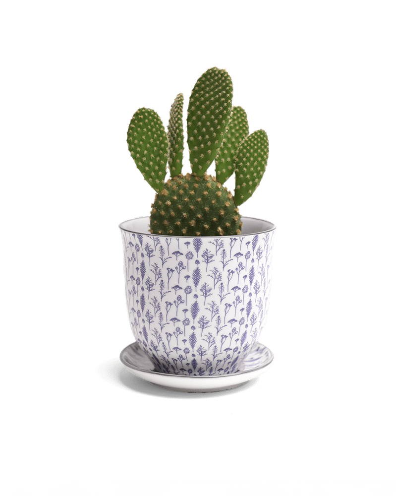 Liberte Porcelain Pot And Saucer Set With Drainage - Chive Ceramics Studio - Pots - Chive Ceramics Studio