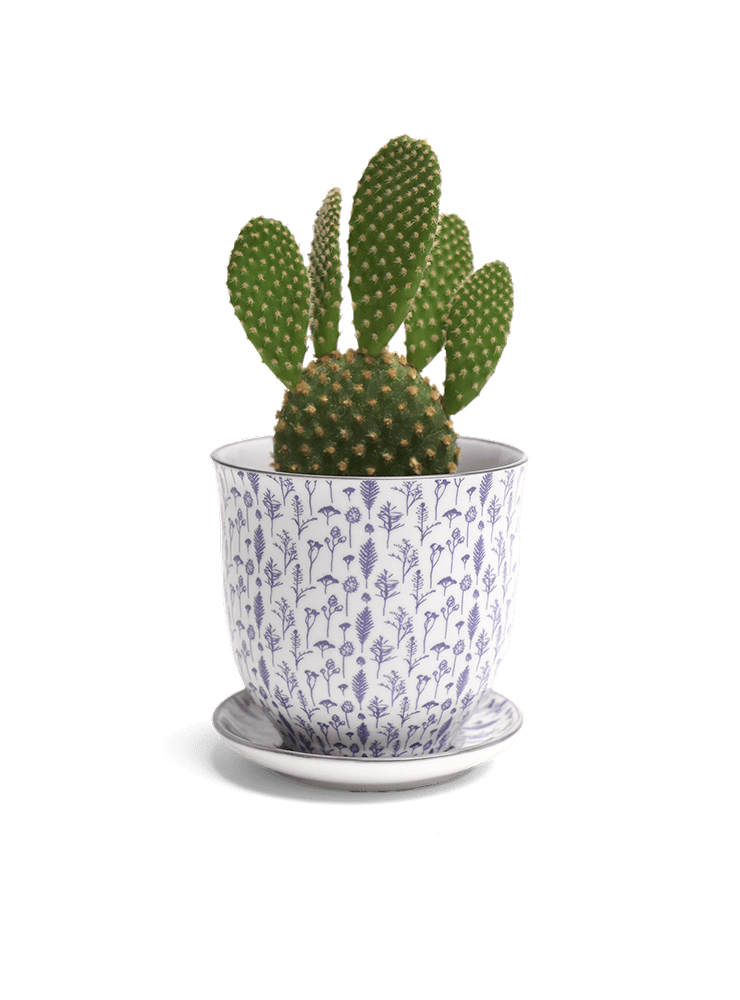 Liberte Porcelain Pot And Saucer Set With Drainage - Chive Ceramics Studio - Pots - Chive Ceramics Studio