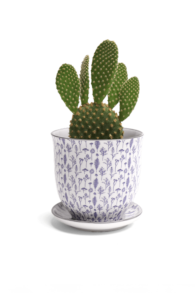Liberte Porcelain Pot And Saucer Set With Drainage - Chive Ceramics Studio - Pots - Chive Ceramics Studio
