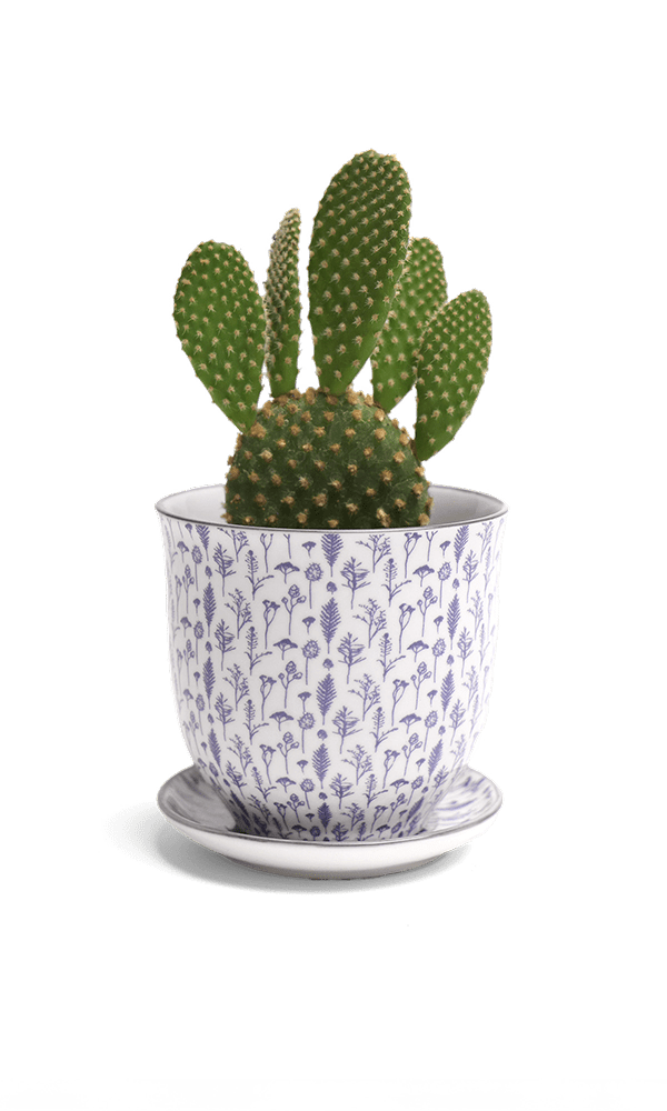 Liberte Porcelain Pot And Saucer Set With Drainage - Chive Ceramics Studio - Pots - Chive Ceramics Studio