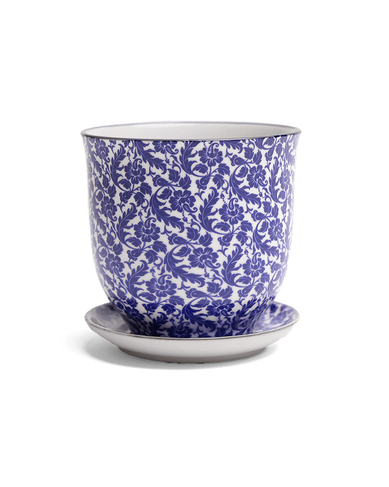 Liberte Porcelain Pot And Saucer Set With Drainage - Chive Ceramics Studio - Pots - Chive Ceramics Studio