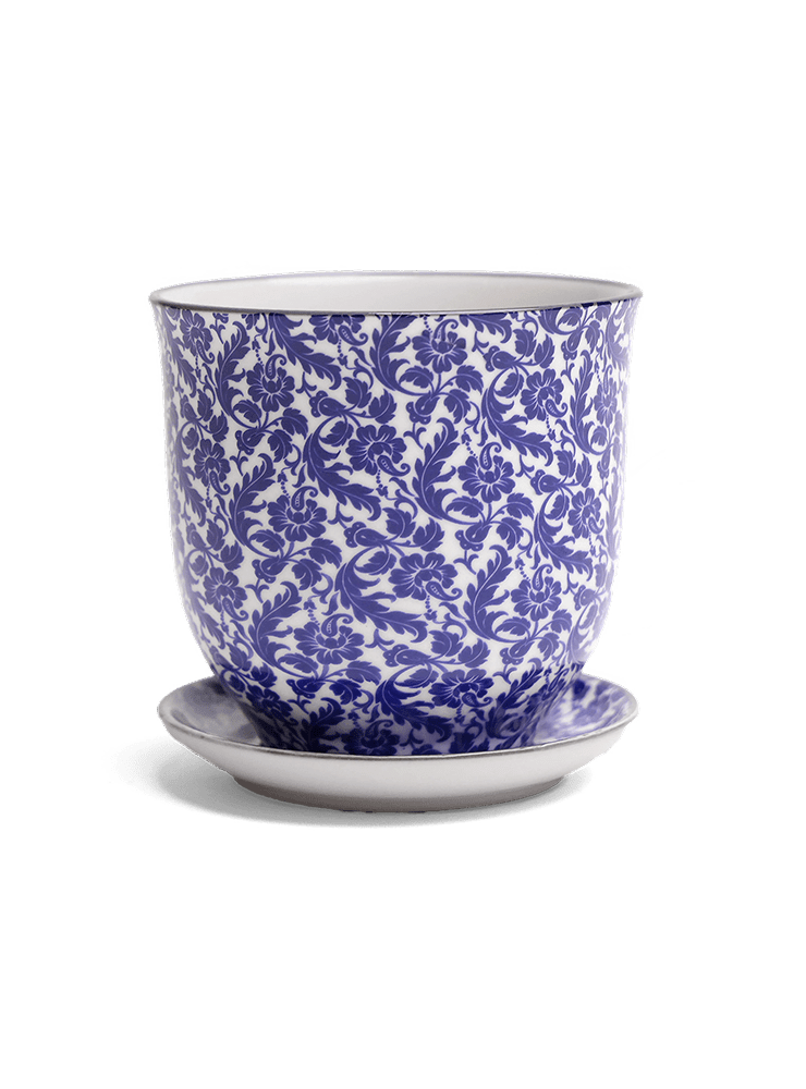 Liberte Porcelain Pot And Saucer Set With Drainage - Chive Ceramics Studio - Pots - Chive Ceramics Studio