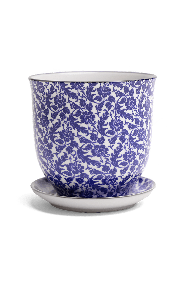 Liberte Porcelain Pot And Saucer Set With Drainage - Chive Ceramics Studio - Pots - Chive Ceramics Studio