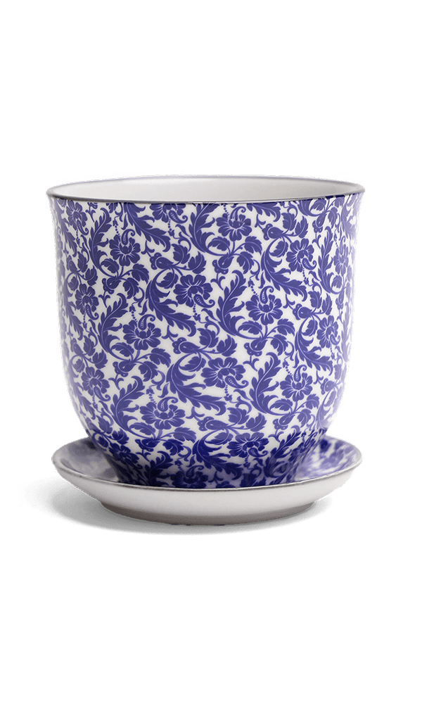 Liberte Porcelain Pot And Saucer Set With Drainage - Chive Ceramics Studio - Pots - Chive Ceramics Studio