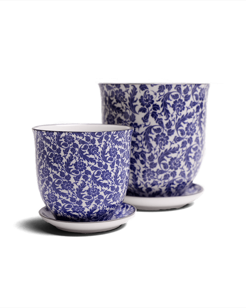 Liberte Porcelain Pot And Saucer Set With Drainage - Chive Ceramics Studio - Pots - Chive Ceramics Studio