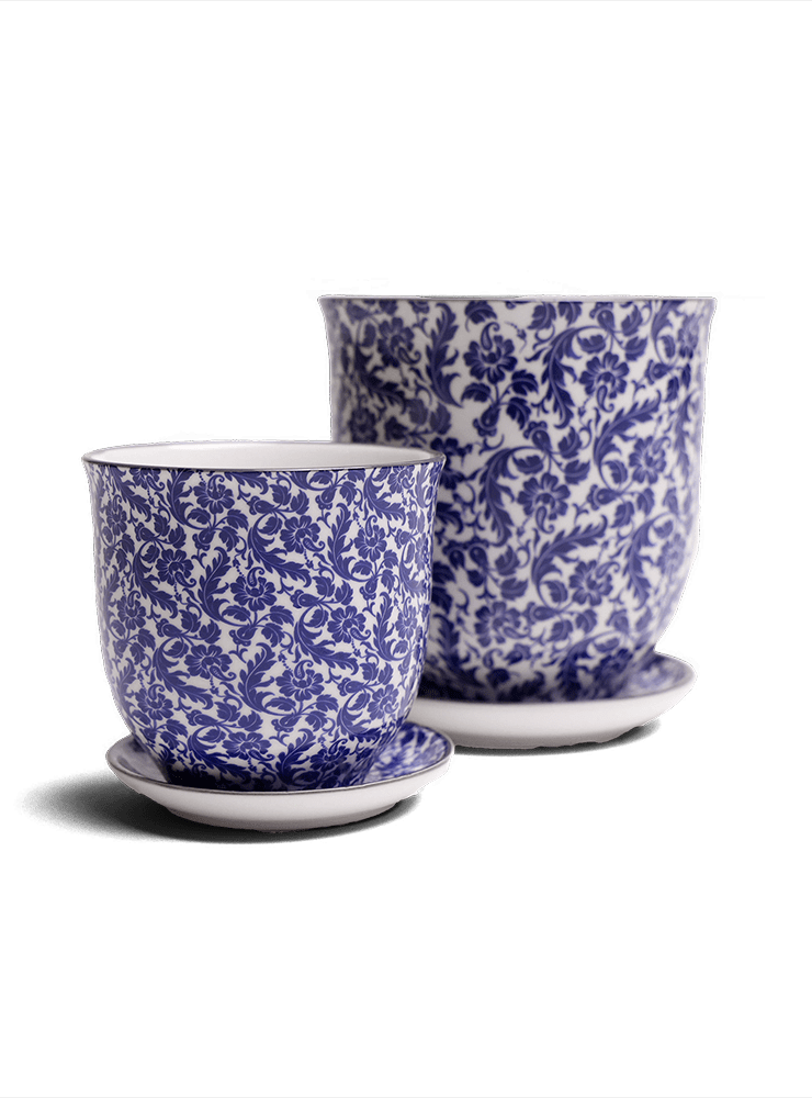Liberte Porcelain Pot And Saucer Set With Drainage - Chive Ceramics Studio - Pots - Chive Ceramics Studio