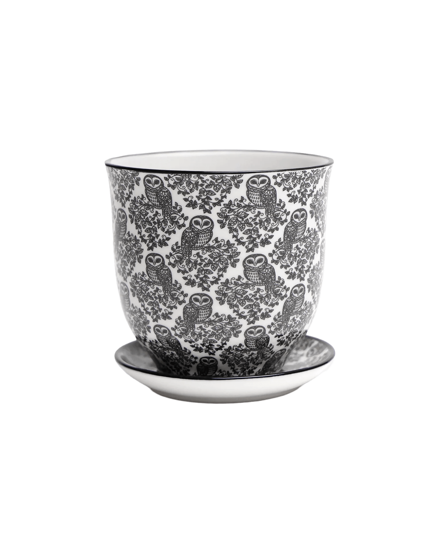 Liberte Porcelain Pot And Saucer 3.25" - Chive Ceramics Studio - Pots - Chive Ceramics Studio