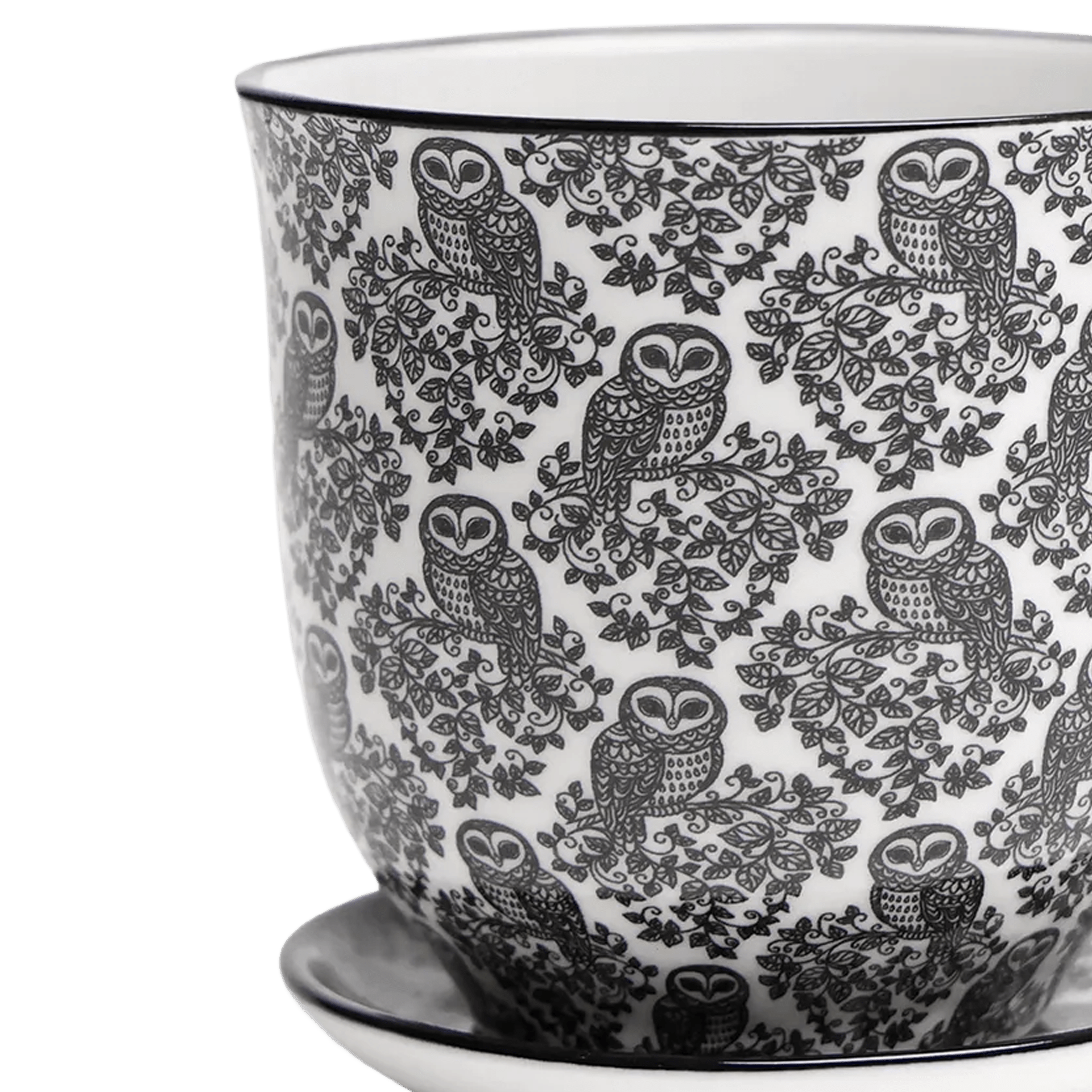 Liberte Porcelain Pot And Saucer 3.25" - Chive Ceramics Studio - Pots - Chive Ceramics Studio