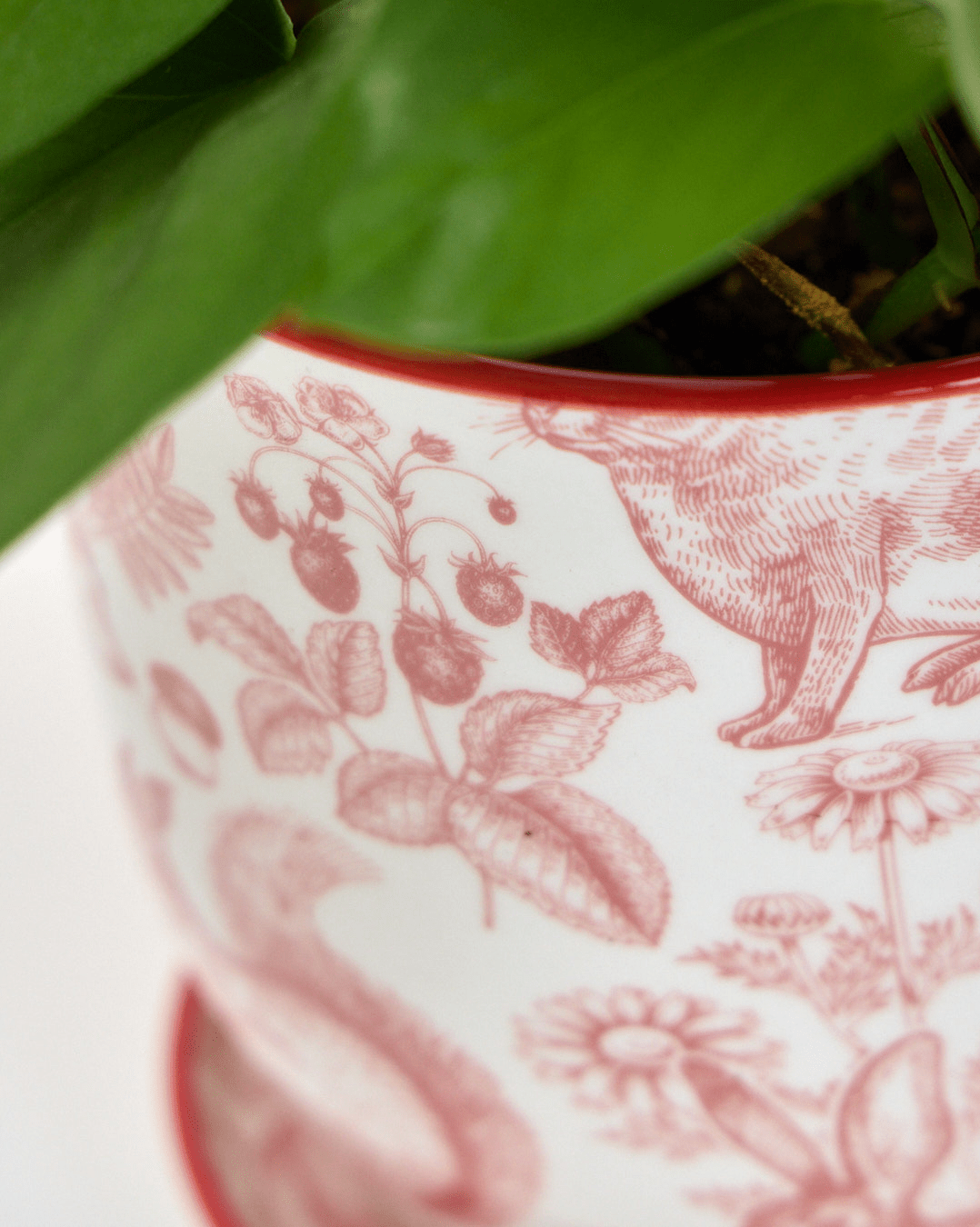 Liberte Porcelain Pot And Saucer Set With Drainage - Chive Ceramics Studio - Pots - Chive Ceramics Studio