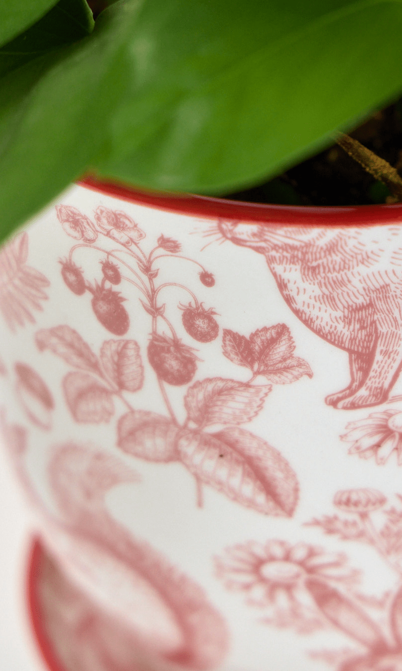 Liberte Porcelain Pot And Saucer Set With Drainage - Chive Ceramics Studio - Pots - Chive Ceramics Studio