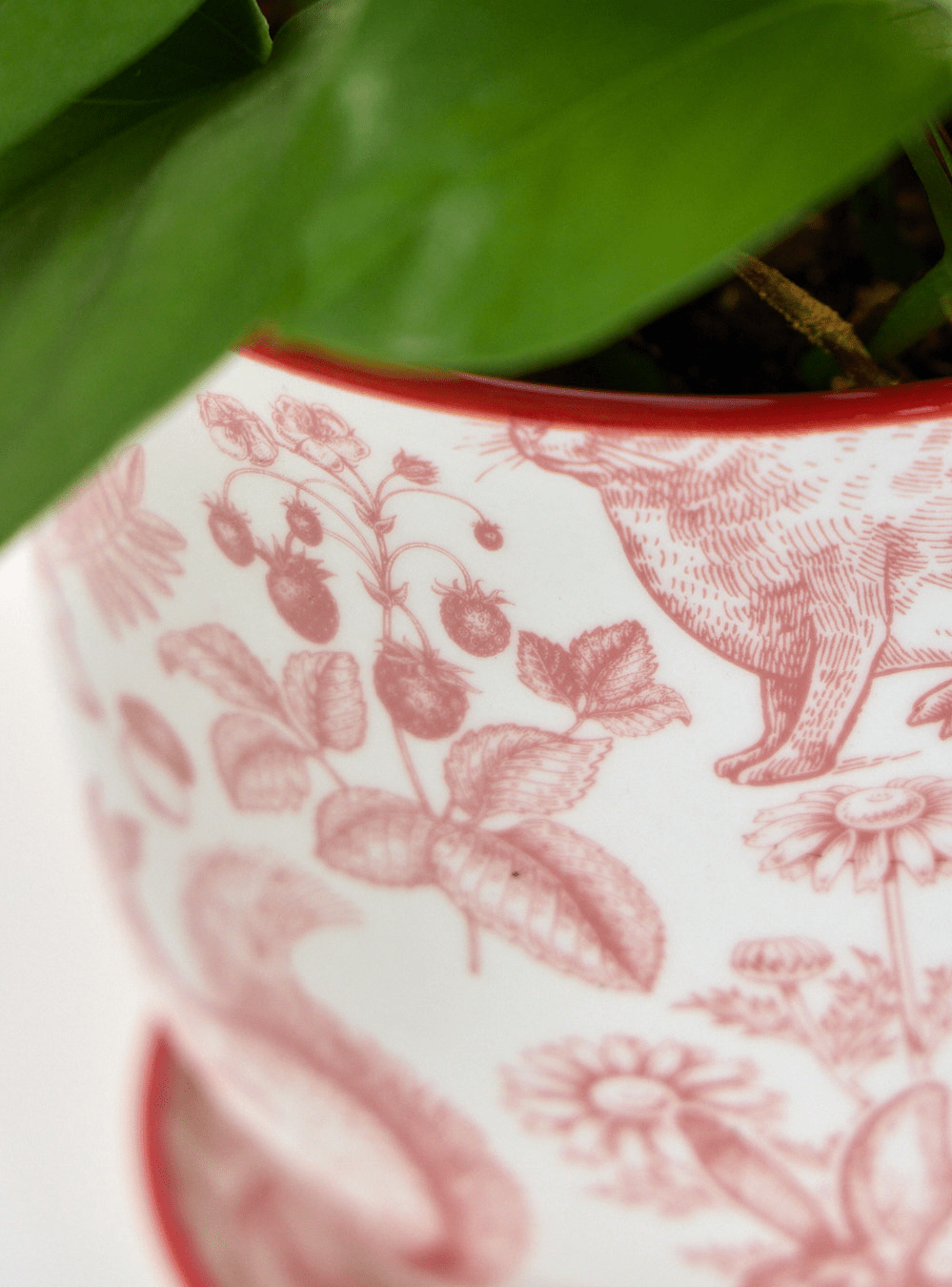 Liberte Porcelain Pot And Saucer Set With Drainage - Chive Ceramics Studio - Pots - Chive Ceramics Studio