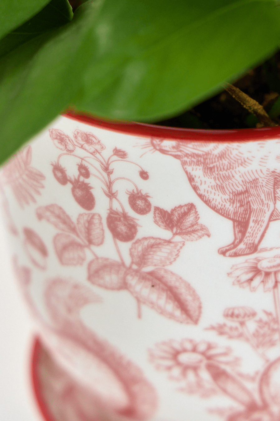 Liberte Porcelain Pot And Saucer Set With Drainage - Chive Ceramics Studio - Pots - Chive Ceramics Studio