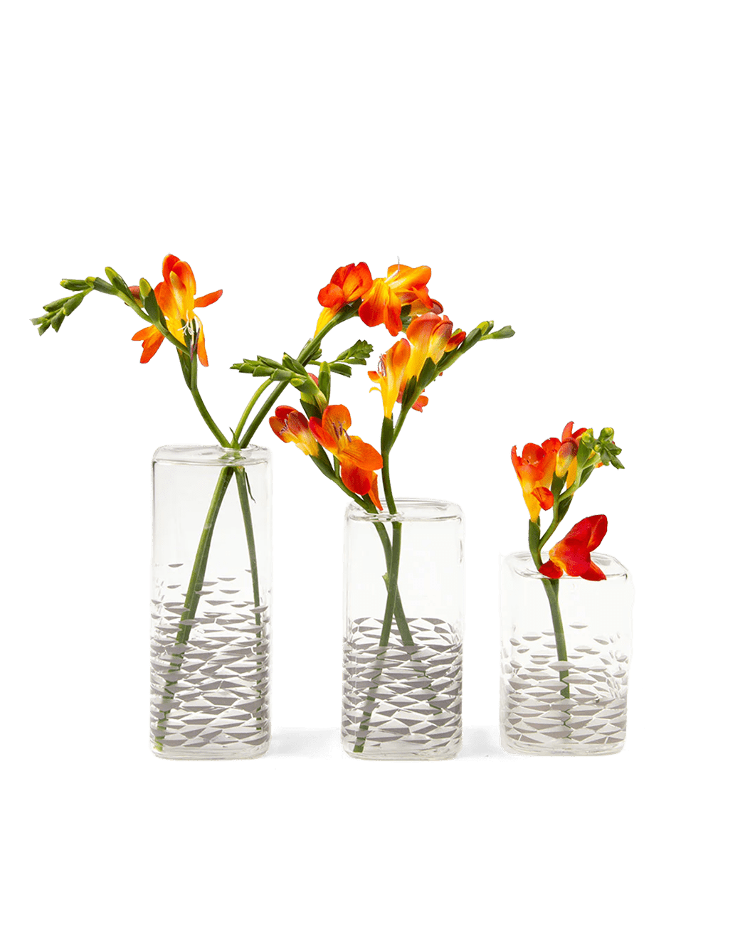 Decal Glass Modern Flower Vase - Chive Ceramics Studio - Vases - Chive US