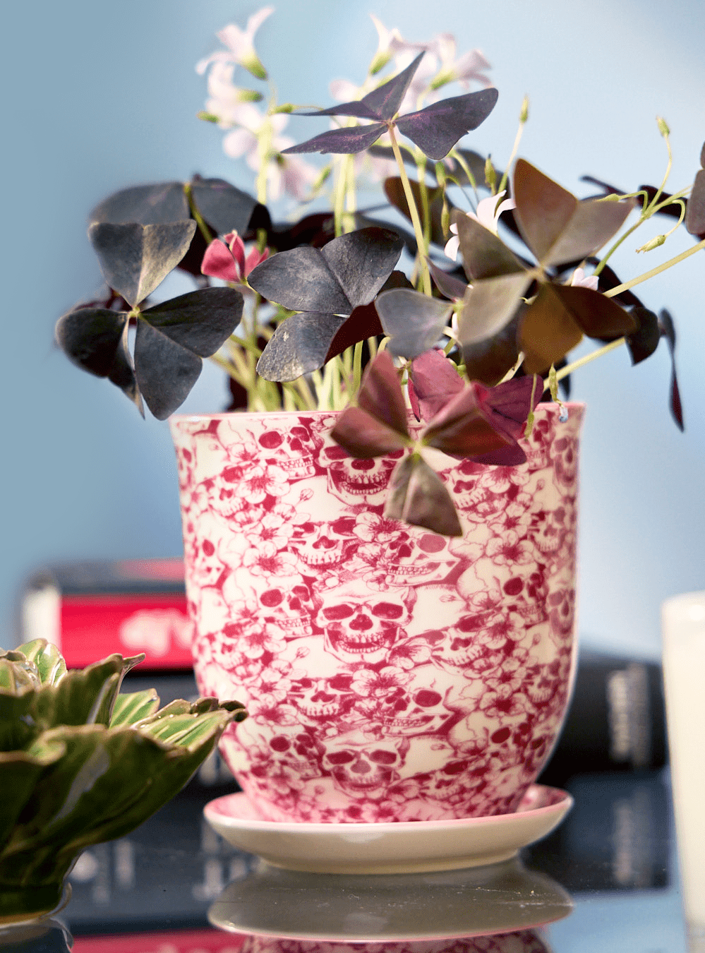 Liberte 5 Porcelain Pot And Saucer With Drainage - Chive Ceramics Studio - Pots - Chive Ceramics Studio