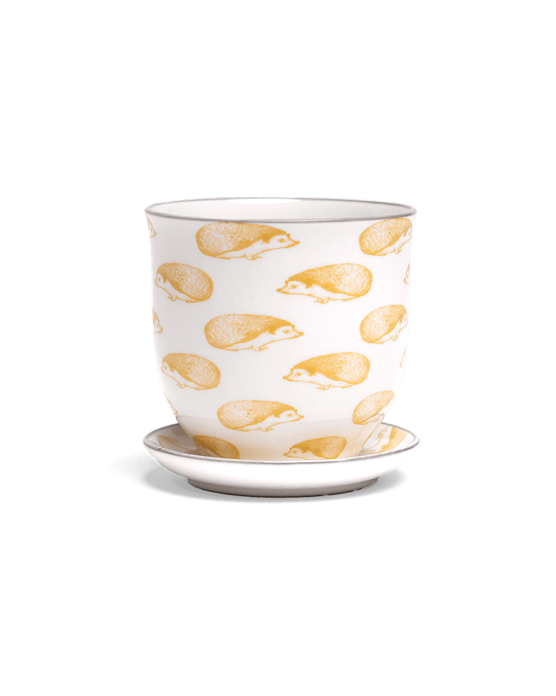 Liberte Porcelain Pot And Saucer Set With Drainage | 3.25 inch - Chive Ceramics Studio - Pots - Chive Ceramics Studio