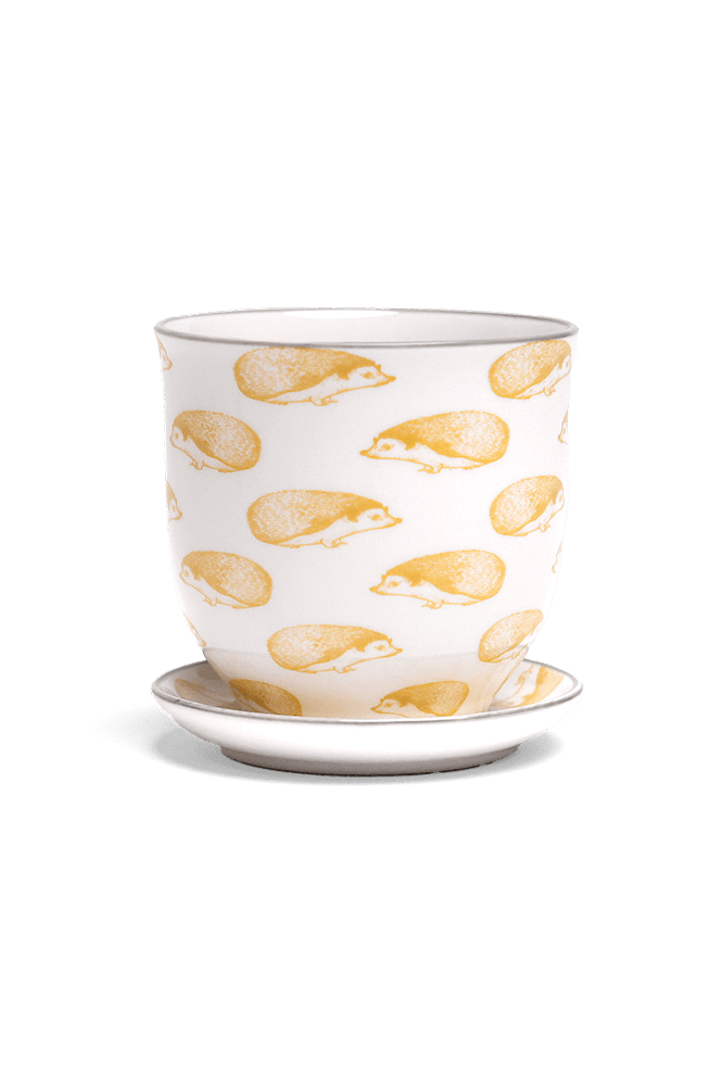 Liberte Porcelain Pot And Saucer Set With Drainage | 3.25 inch - Chive Ceramics Studio - Pots - Chive Ceramics Studio