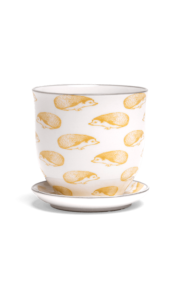 Liberte Porcelain Pot And Saucer Set With Drainage | 3.25 inch - Chive Ceramics Studio - Pots - Chive Ceramics Studio