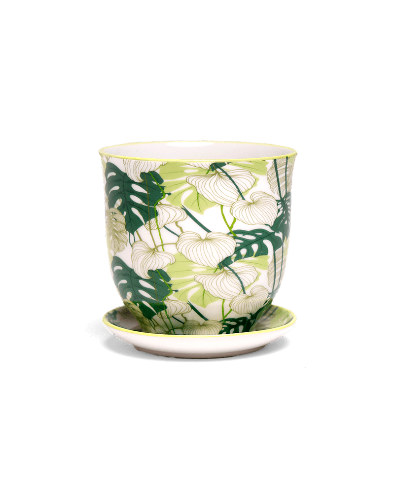 Liberte Porcelain Pot And Saucer 3.25" - Chive Ceramics Studio - Pots - Chive Ceramics Studio
