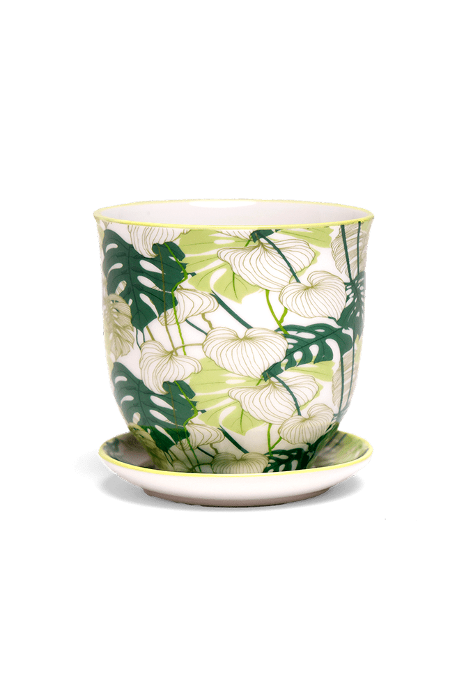 Liberte Porcelain Pot And Saucer 3.25" - Chive Ceramics Studio - Pots - Chive Ceramics Studio