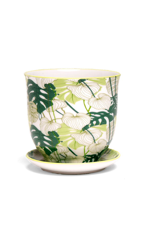 Liberte Porcelain Pot And Saucer 3.25" - Chive Ceramics Studio - Pots - Chive Ceramics Studio