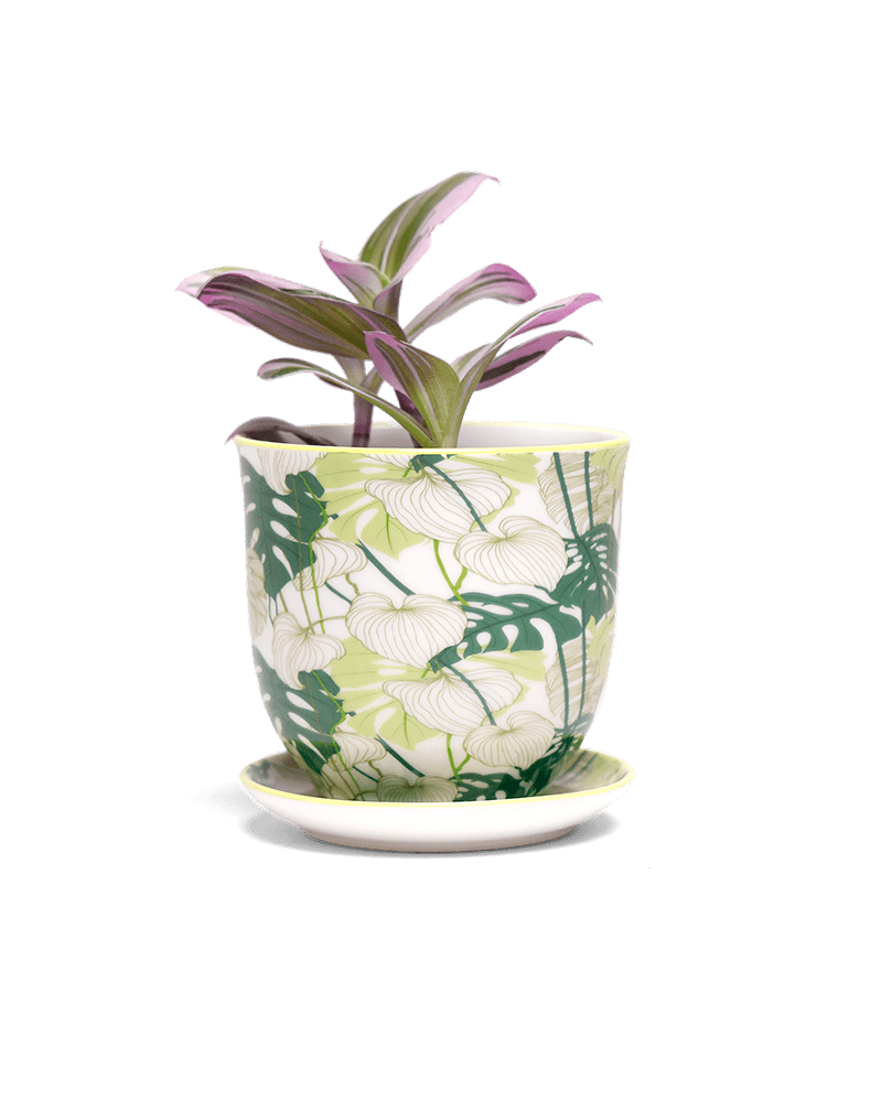 Liberte Porcelain Pot And Saucer 3.25" - Chive Ceramics Studio - Pots - Chive Ceramics Studio