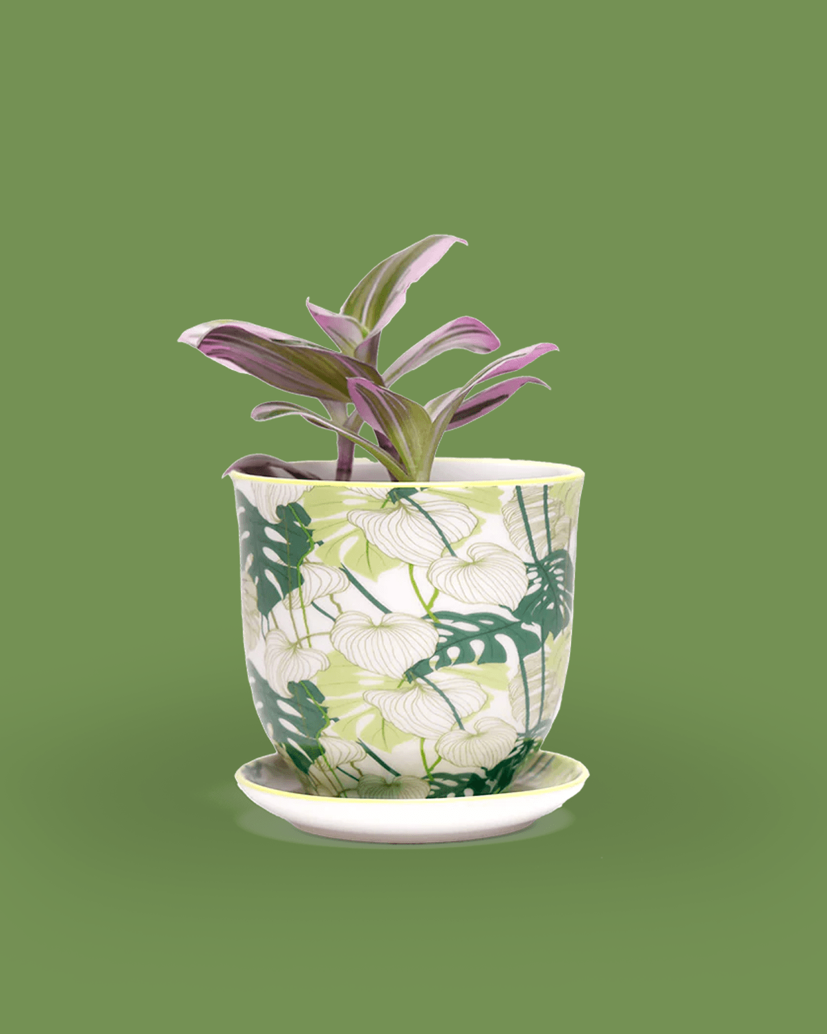 Liberte Porcelain Pot And Saucer 3.25" - Chive Ceramics Studio - Pots - Chive Ceramics Studio