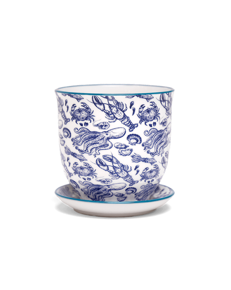 Liberte Porcelain Pot And Saucer Set With Drainage | 3.25 inch - Chive Ceramics Studio - Pots - Chive Ceramics Studio