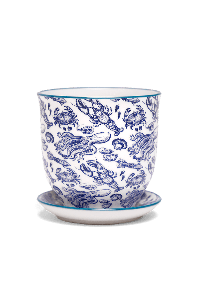 Liberte Porcelain Pot And Saucer Set With Drainage | 3.25 inch - Chive Ceramics Studio - Pots - Chive Ceramics Studio