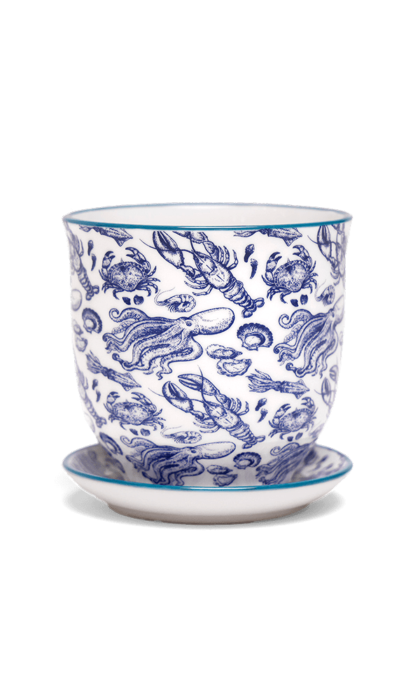 Liberte Porcelain Pot And Saucer Set With Drainage | 3.25 inch - Chive Ceramics Studio - Pots - Chive Ceramics Studio