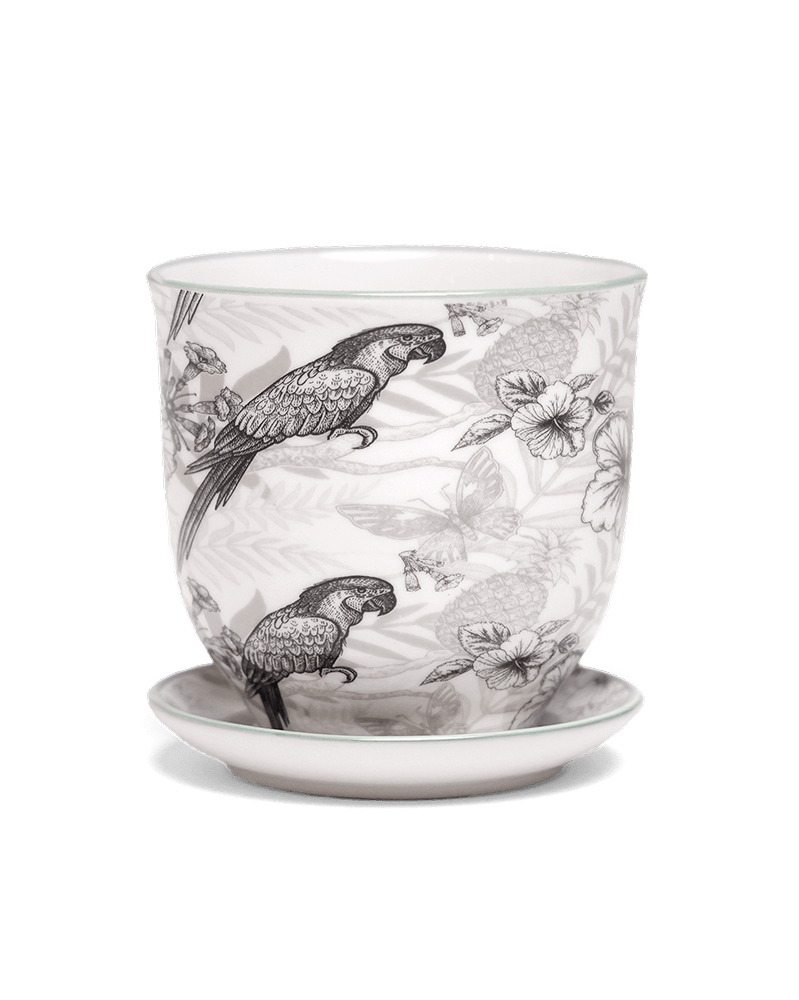 Liberte Porcelain Pot And Saucer Set With Drainage | 3.25 inch - Chive Ceramics Studio - Pots - Chive Ceramics Studio