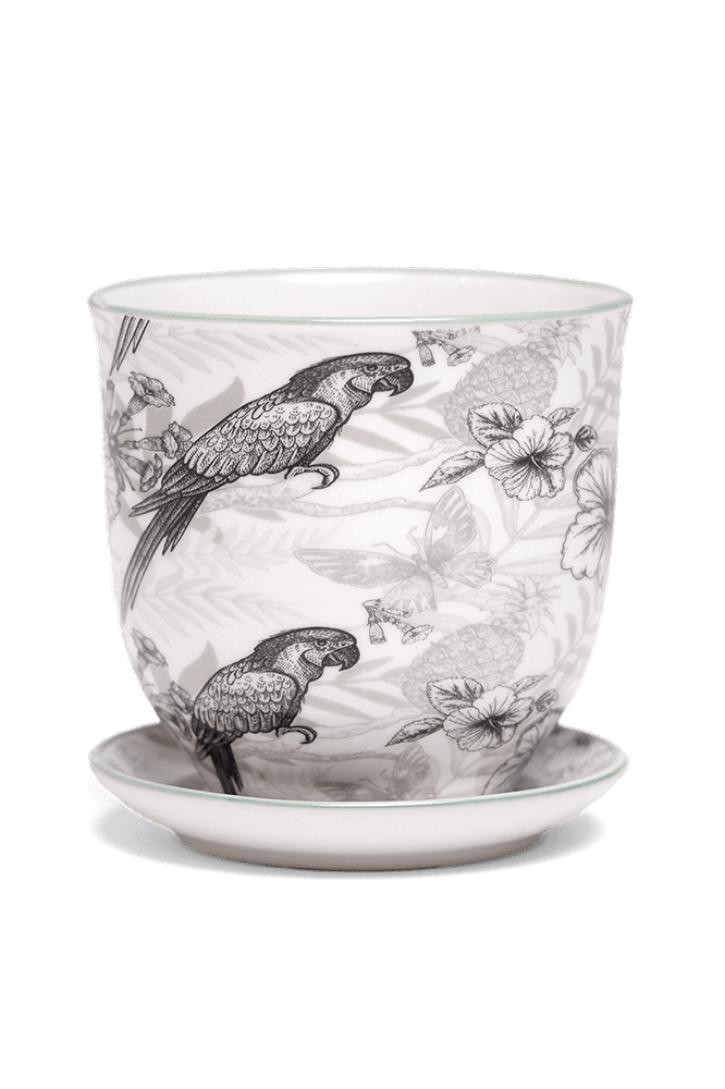 Liberte Porcelain Pot And Saucer Set With Drainage | 3.25 inch - Chive Ceramics Studio - Pots - Chive Ceramics Studio