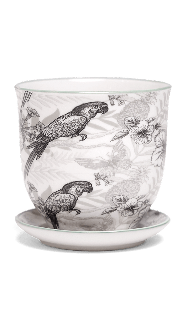 Liberte Porcelain Pot And Saucer Set With Drainage | 3.25 inch - Chive Ceramics Studio - Pots - Chive Ceramics Studio