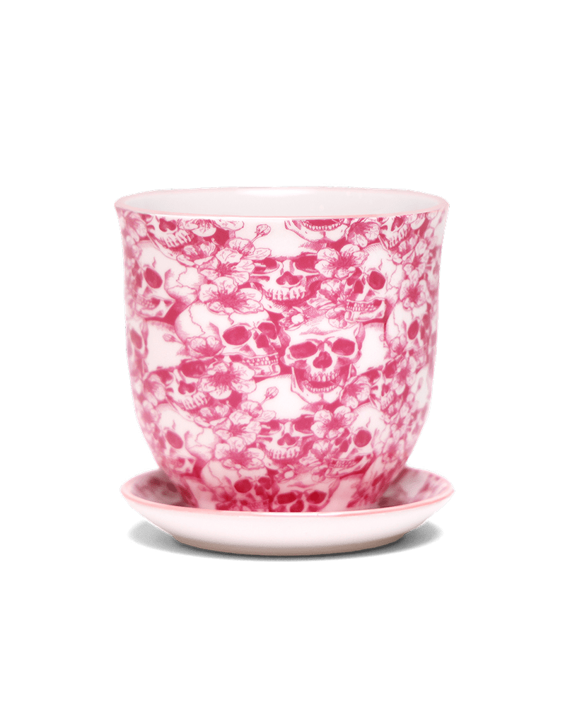 Liberte Porcelain 4.25" Pot And Saucer - Chive Ceramics Studio - Pots - Chive Ceramics Studio