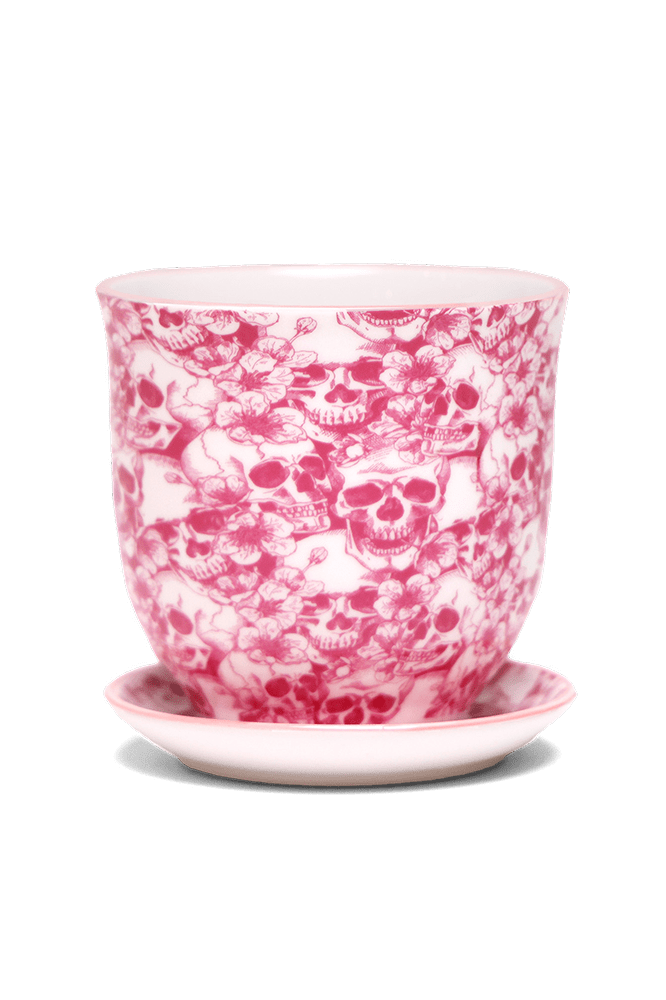 Liberte Porcelain 4.25" Pot And Saucer - Chive Ceramics Studio - Pots - Chive Ceramics Studio